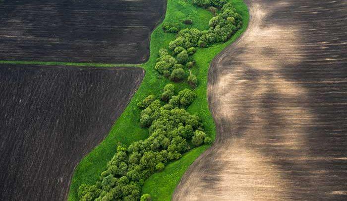 عجیب،زیبا و تحسین برانگیز؛عکس هایی متفاوت از یک سرزمین رویایی