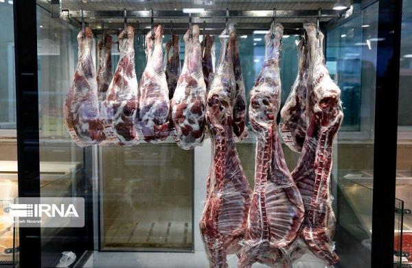 خبرنگاران نرخ گذاری قیمت گوشت قرمز در کنگاور به نفع مردم است