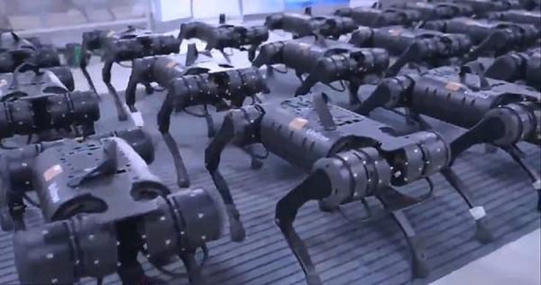(ویدئو) ترس بسیاری از افراد با دیدن حرکت گروهی ربات ها